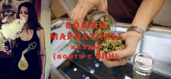прущие грибы Белоозёрский