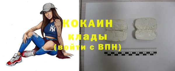 прущие грибы Белоозёрский